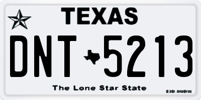 TX license plate DNT5213