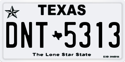 TX license plate DNT5313