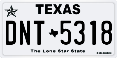 TX license plate DNT5318