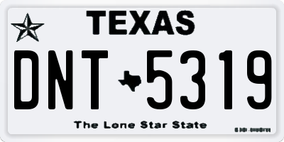 TX license plate DNT5319