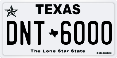 TX license plate DNT6000