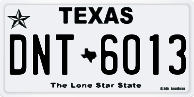 TX license plate DNT6013
