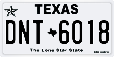 TX license plate DNT6018