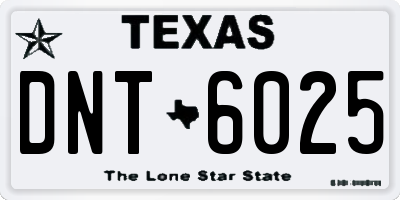 TX license plate DNT6025