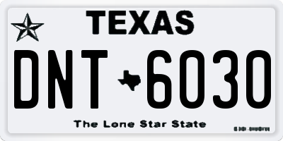 TX license plate DNT6030