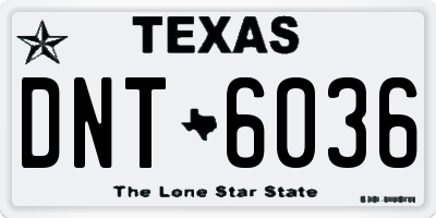 TX license plate DNT6036