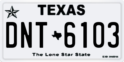 TX license plate DNT6103