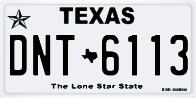 TX license plate DNT6113