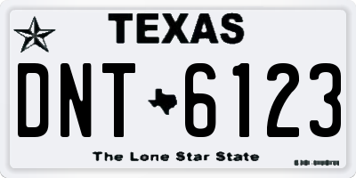 TX license plate DNT6123