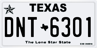 TX license plate DNT6301