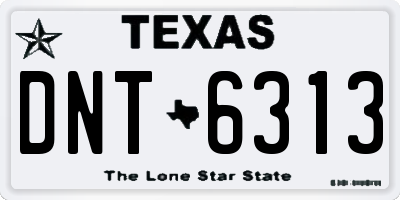 TX license plate DNT6313