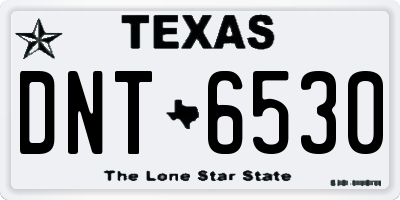 TX license plate DNT6530