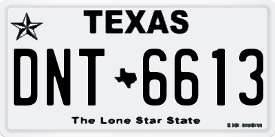 TX license plate DNT6613