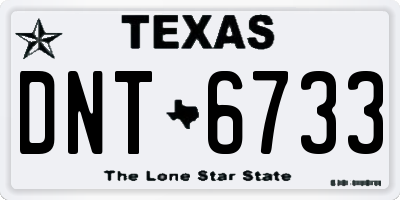TX license plate DNT6733