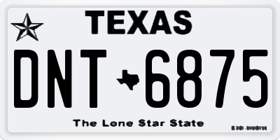 TX license plate DNT6875