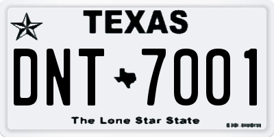 TX license plate DNT7001