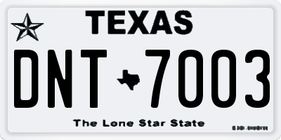 TX license plate DNT7003