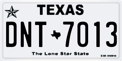 TX license plate DNT7013