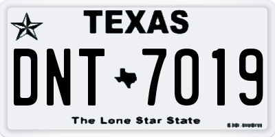 TX license plate DNT7019