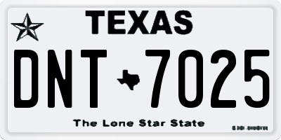 TX license plate DNT7025