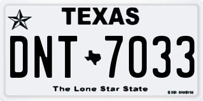 TX license plate DNT7033