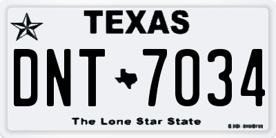 TX license plate DNT7034