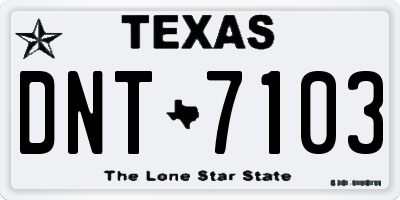 TX license plate DNT7103