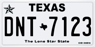 TX license plate DNT7123