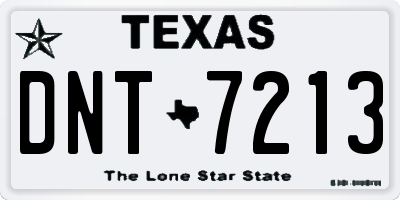 TX license plate DNT7213