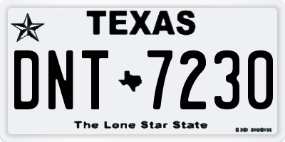 TX license plate DNT7230