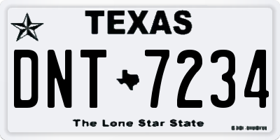 TX license plate DNT7234
