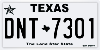 TX license plate DNT7301
