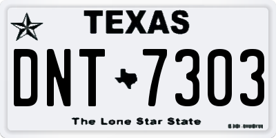 TX license plate DNT7303
