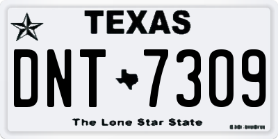 TX license plate DNT7309