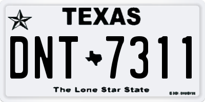 TX license plate DNT7311