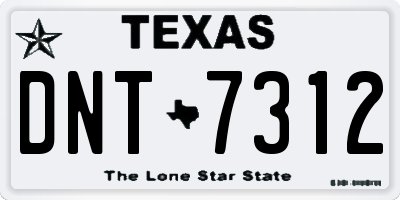 TX license plate DNT7312