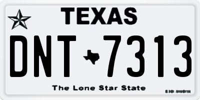 TX license plate DNT7313