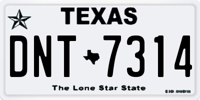 TX license plate DNT7314