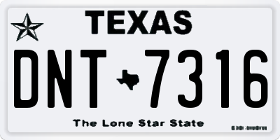 TX license plate DNT7316
