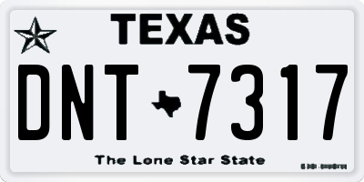 TX license plate DNT7317