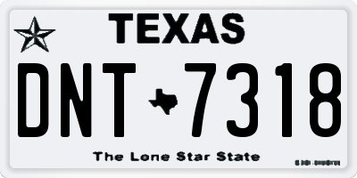 TX license plate DNT7318
