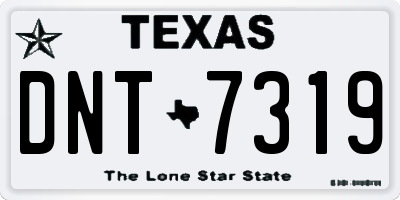 TX license plate DNT7319