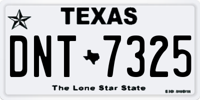 TX license plate DNT7325