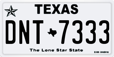 TX license plate DNT7333