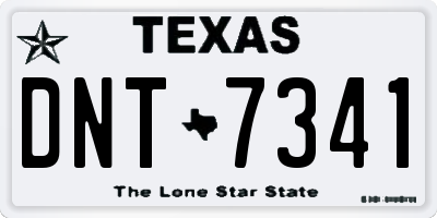 TX license plate DNT7341