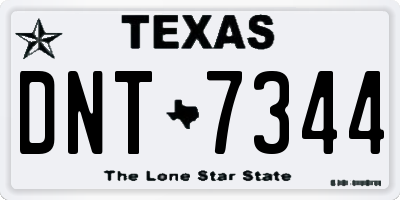 TX license plate DNT7344