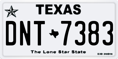 TX license plate DNT7383
