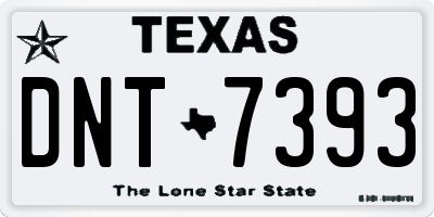 TX license plate DNT7393