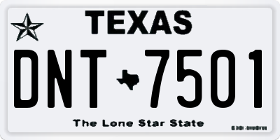 TX license plate DNT7501