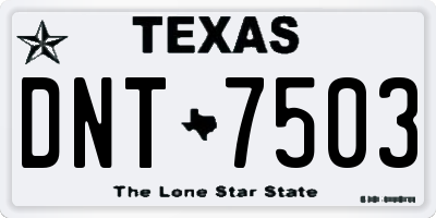 TX license plate DNT7503